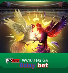 8day bet